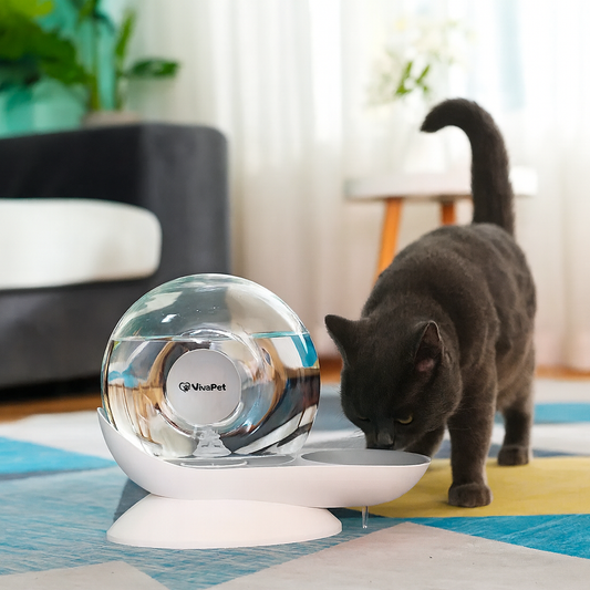 Fontanella Automatica Senza Fili + 6 Filtri