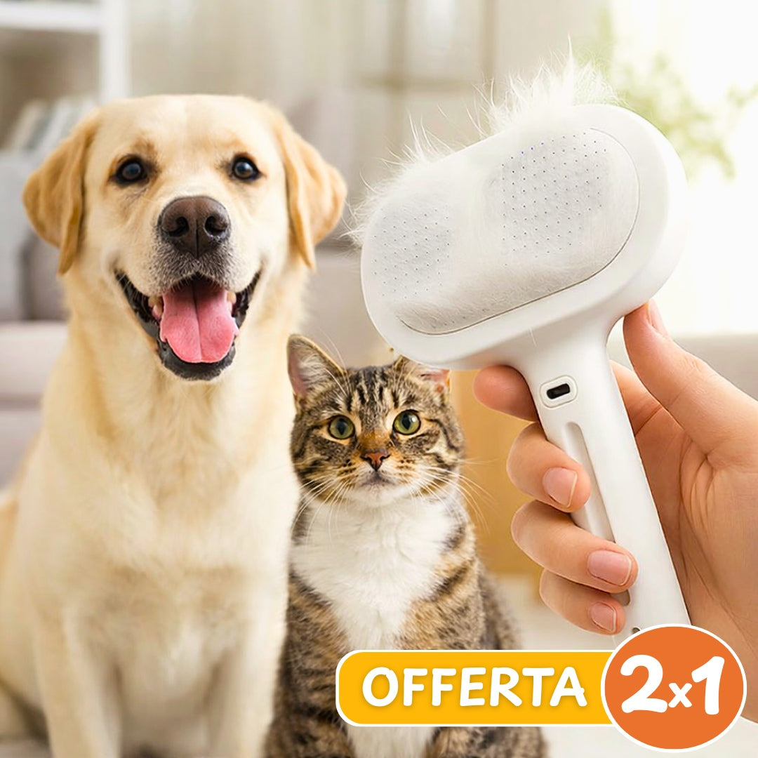 Spazzola a Vapore PLUS 3 in 1 - Offerta 2x1🎁