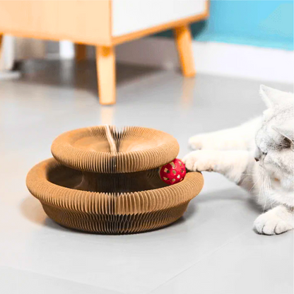 Gioco Magico per Gatti - Circuito Tiragraffi - 2 PZ.🎁