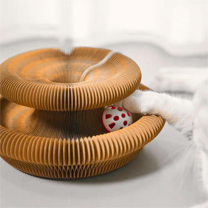 Gioco Magico per Gatti - Circuito Tiragraffi - 2 PZ.🎁