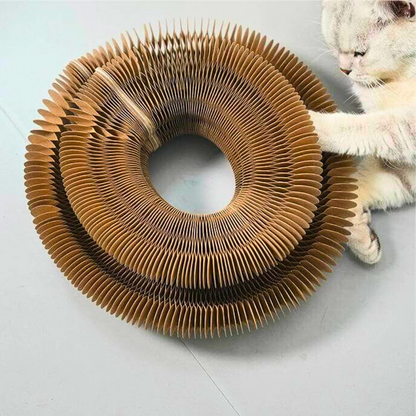 Gioco Magico per Gatti - Circuito Tiragraffi - 2 PZ.🎁